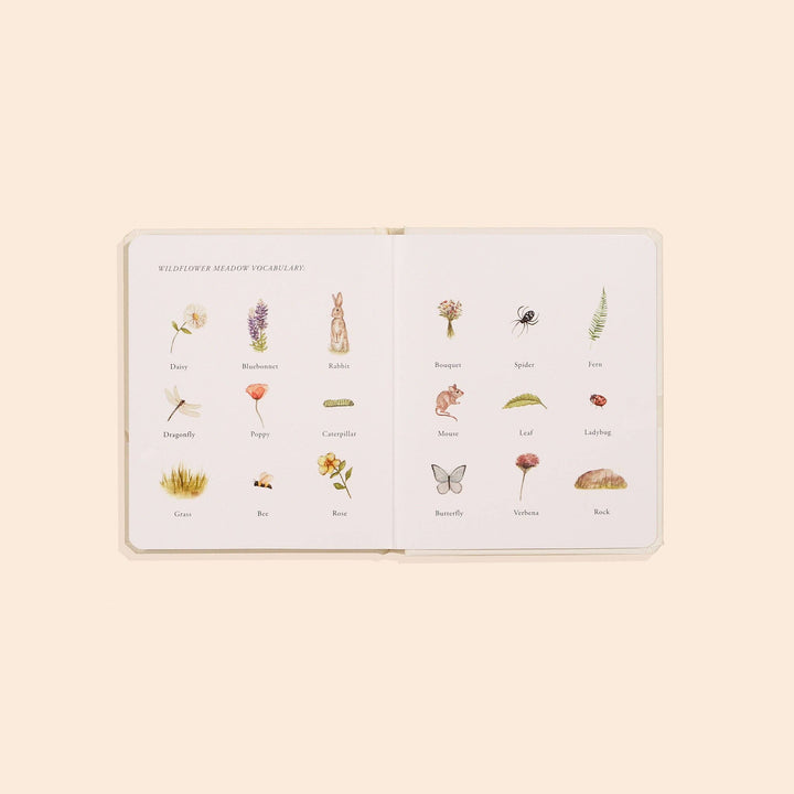 OUR LITTLE ADVENTURES BOX SET