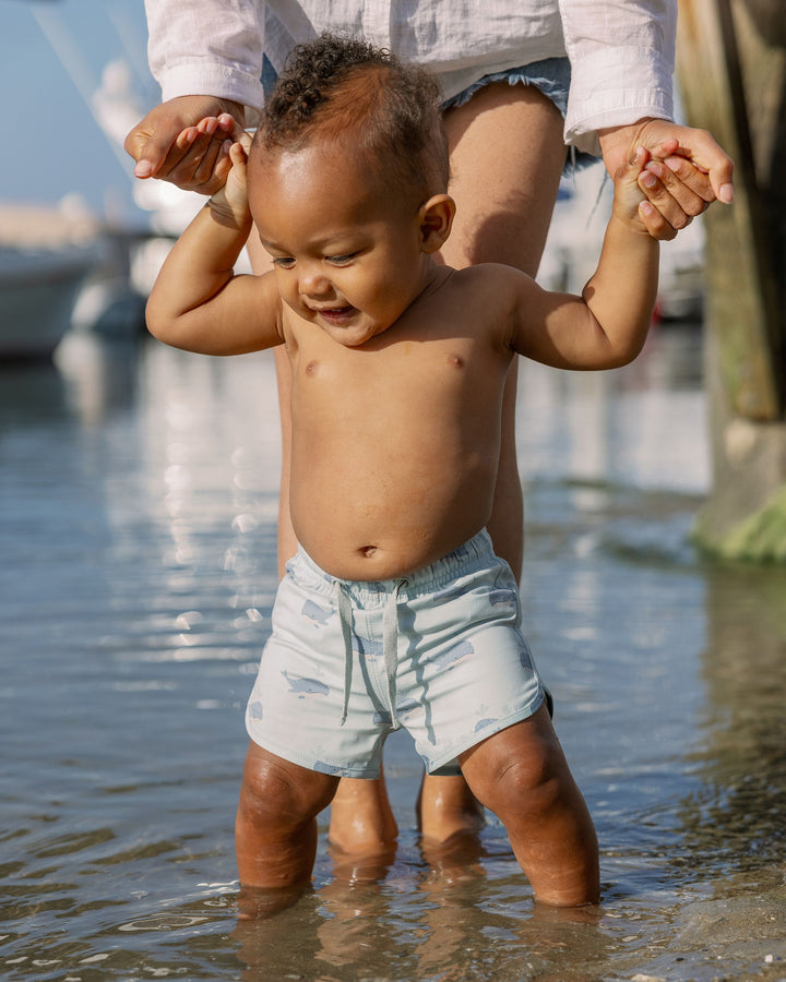 SWIM TRUNK || WHALES