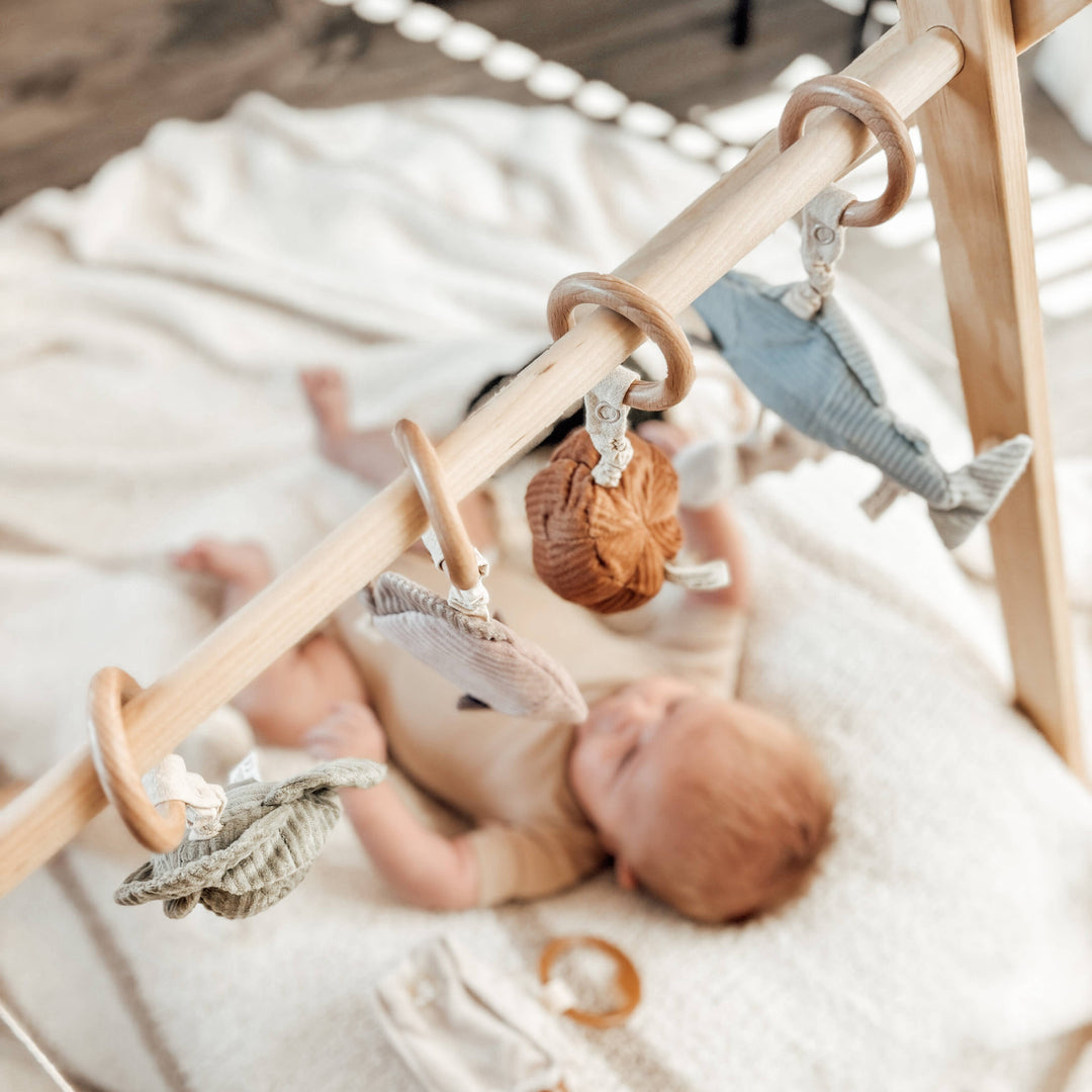 BABY RATTLE || ANGEL FISH