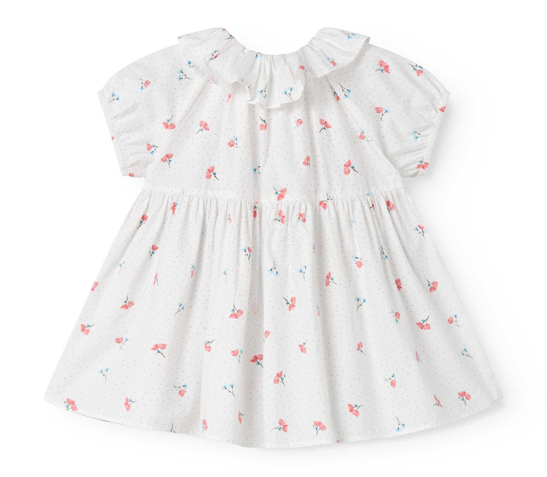 DALINO DRESS || POPPY