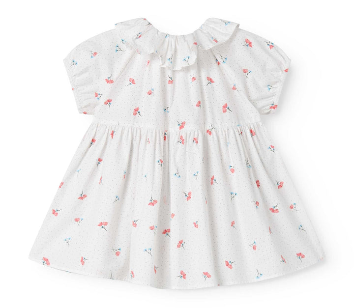 DALINO DRESS || POPPY