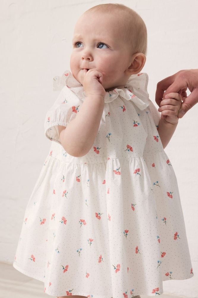 DALINO DRESS || POPPY
