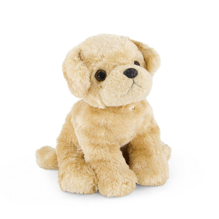 golden retriever dog || milo