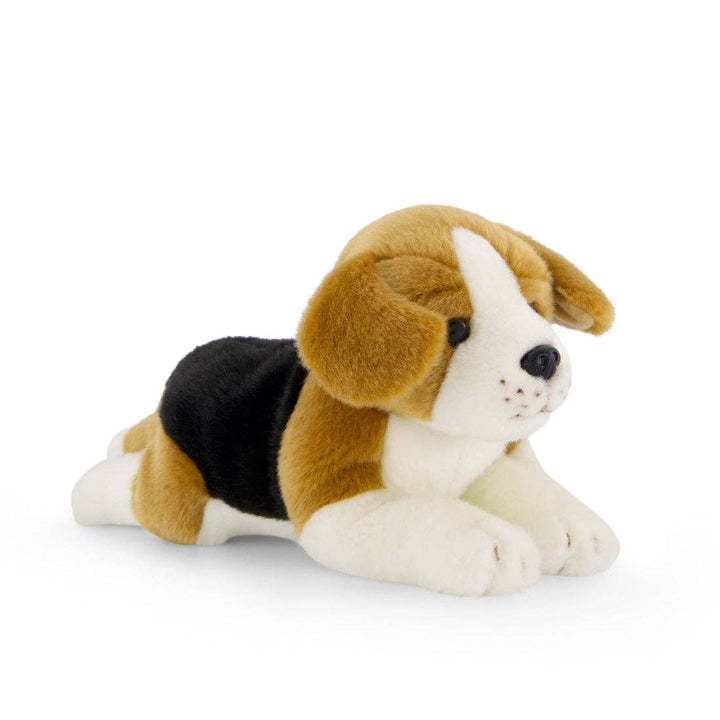 beagle dog || brooklyn