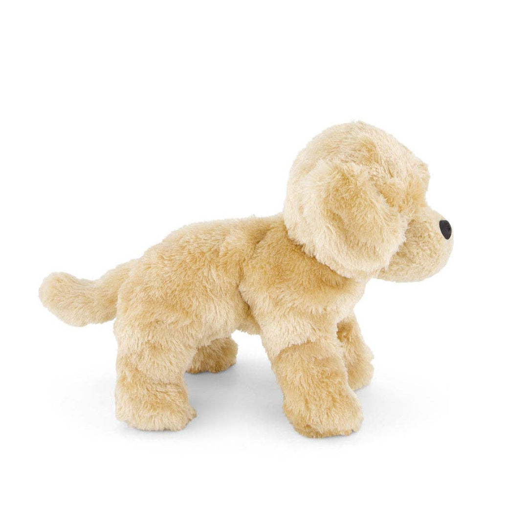 golden retriever dog || milo