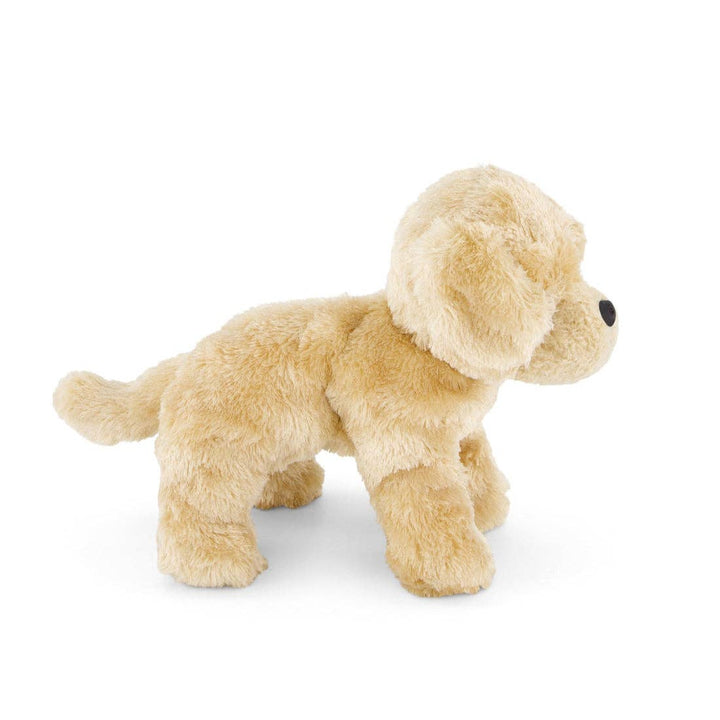 golden retriever dog || milo