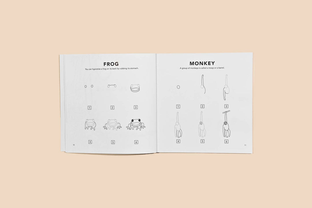 how to draw || all the animals