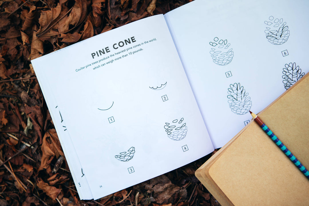 how to draw || fall things