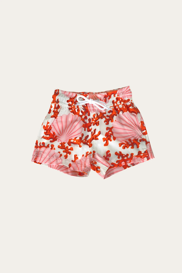 KIDS TRUNK || COVE