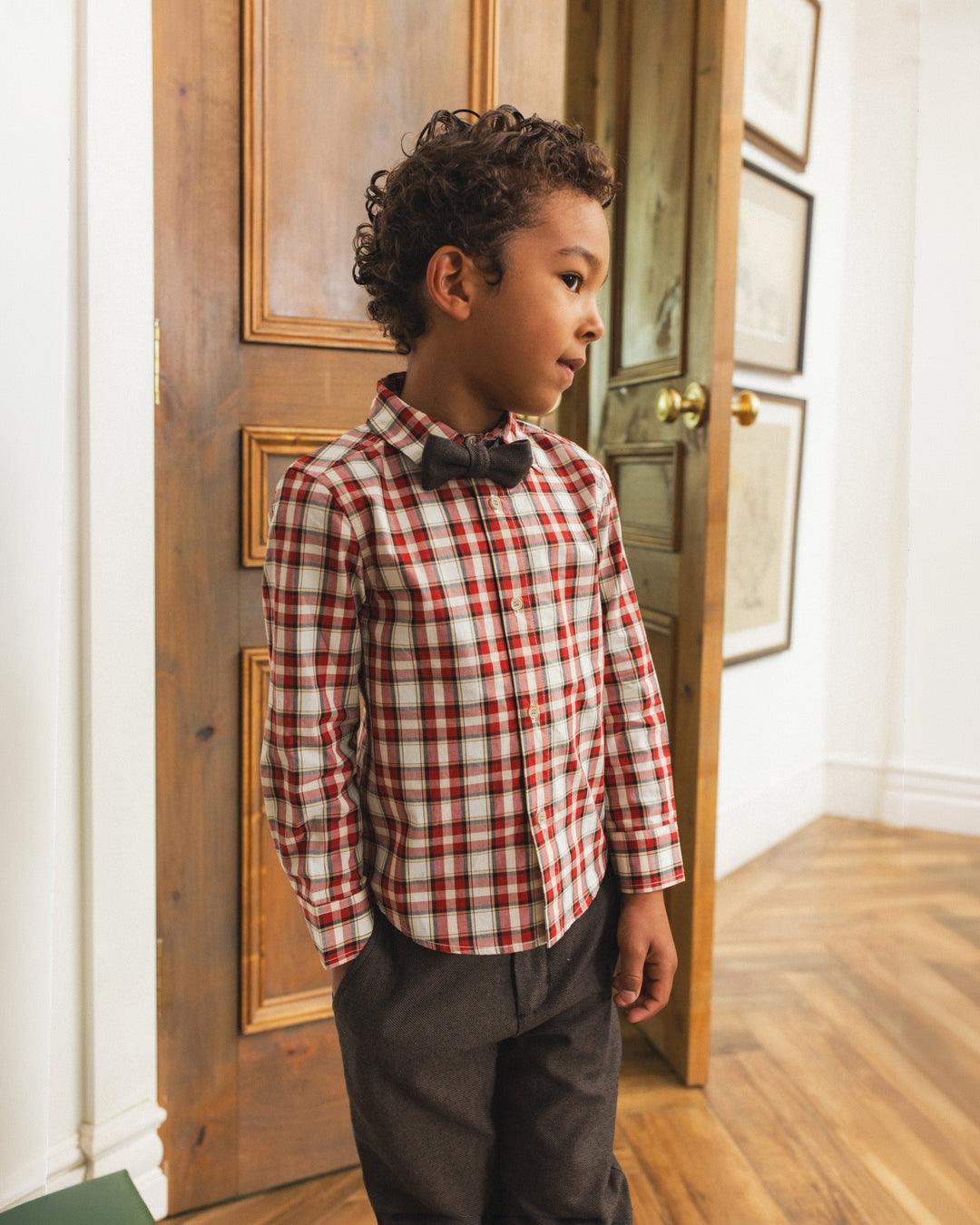 harrison button down || holiday tartan