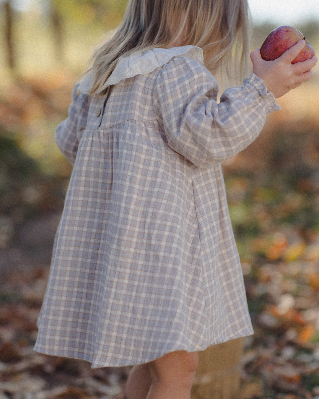 CALLIE DRESS || BLUE GINGHAM