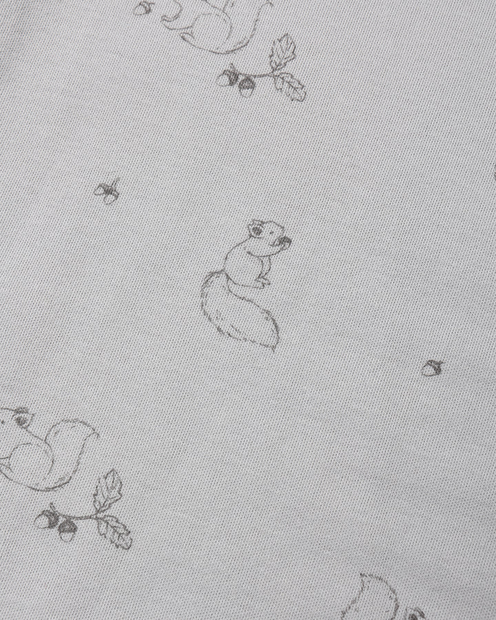 JERSEY BODYSUIT, 2 PACK || SQUIRREL, CLOUD STRIPE