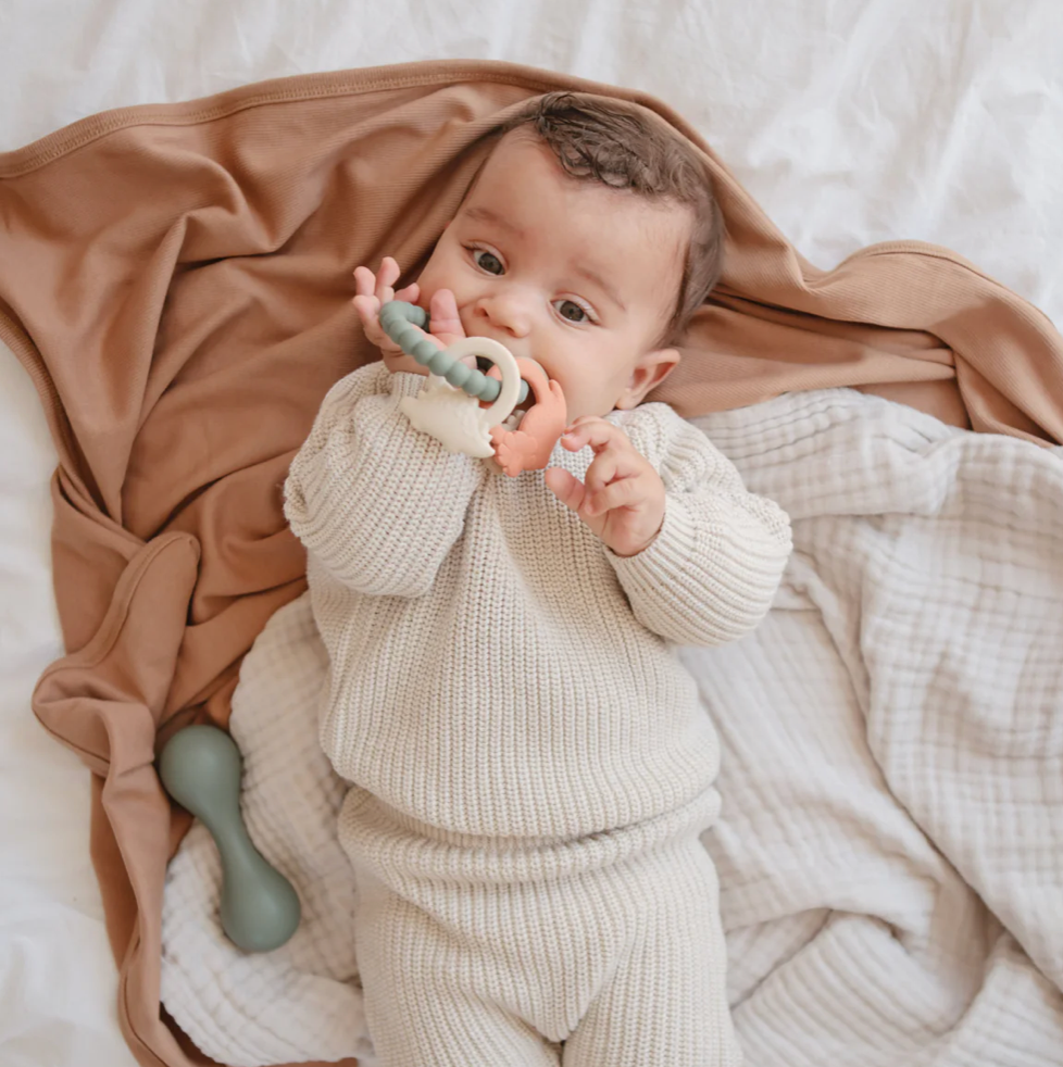 DINO TEETHING RING