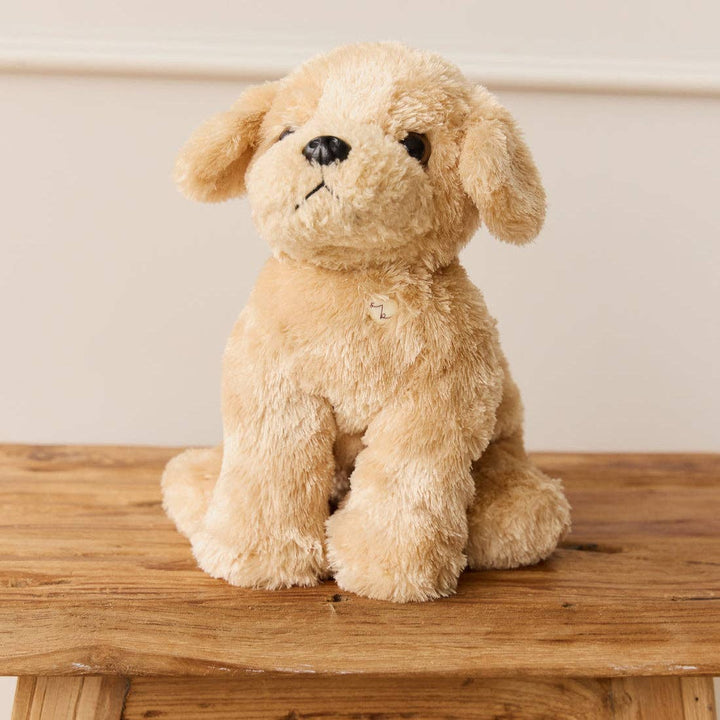 golden retriever dog || milo