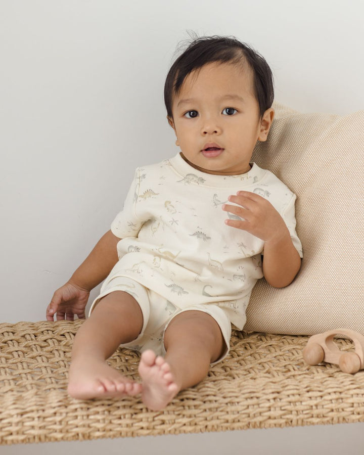 FRANKIE SET || CONSTRUCTION TRUCKS