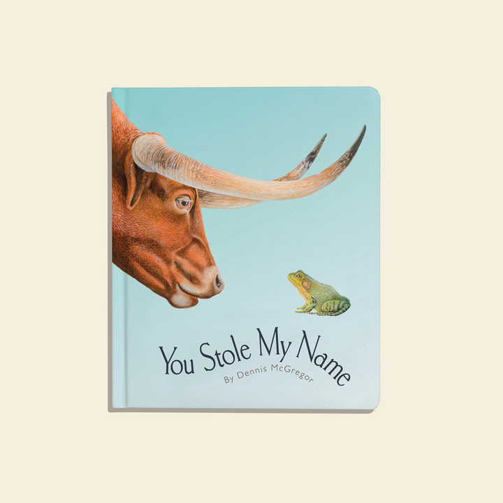 A BOARD BOOK FOR BABY || YOU STOLE MY NAME