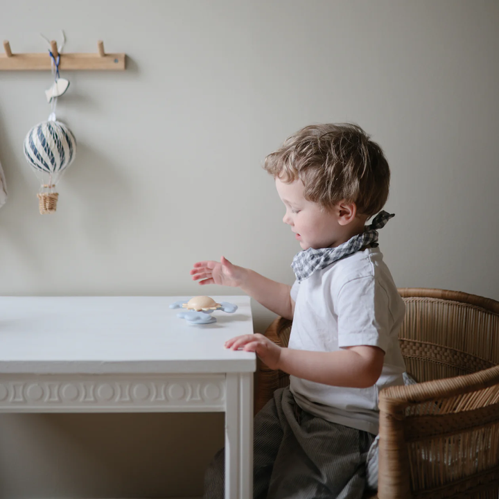 SUNSHINE SUCTION SPINNER TOY
