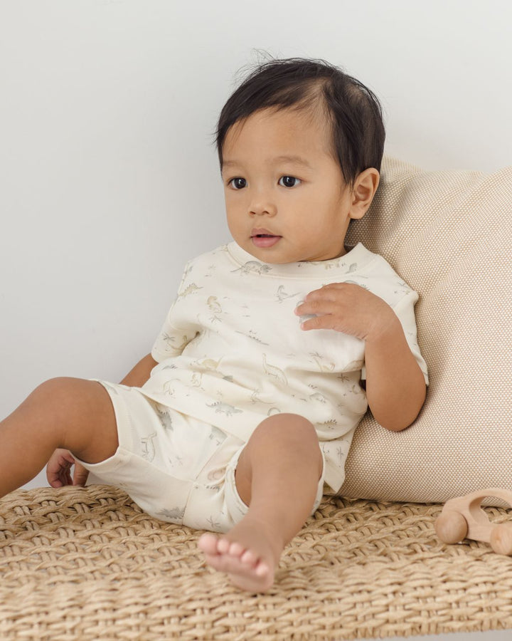 FRANKIE SET || CONSTRUCTION TRUCKS