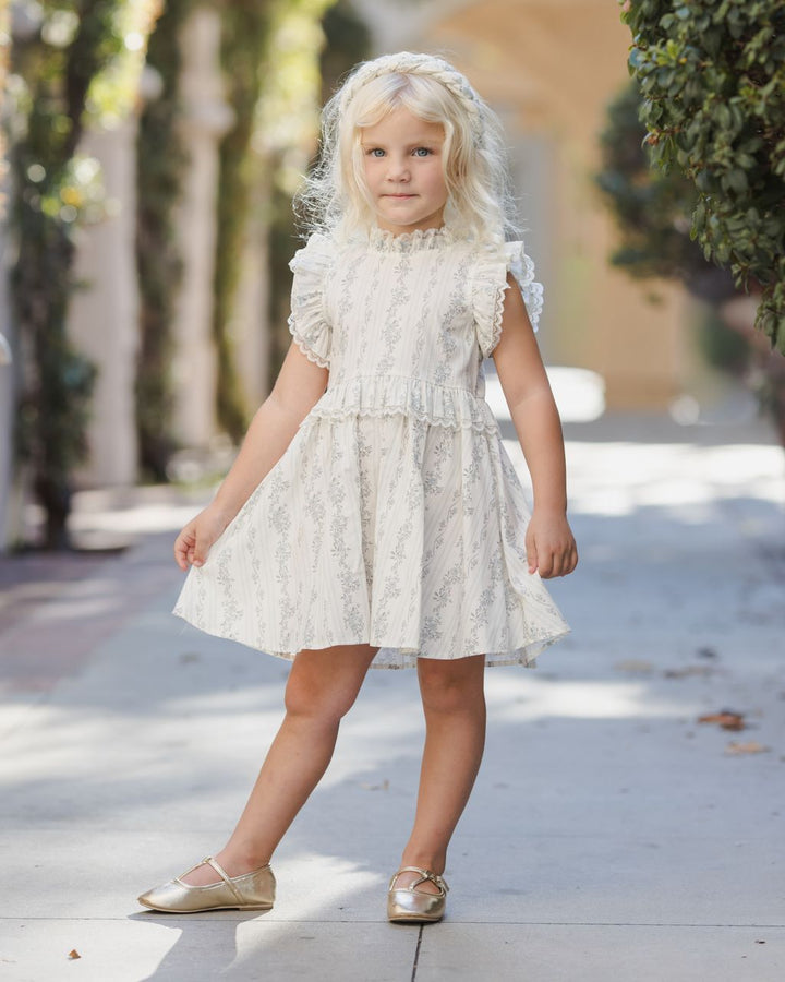 ALICE DRESS || FRENCH FLORAL STRIPE