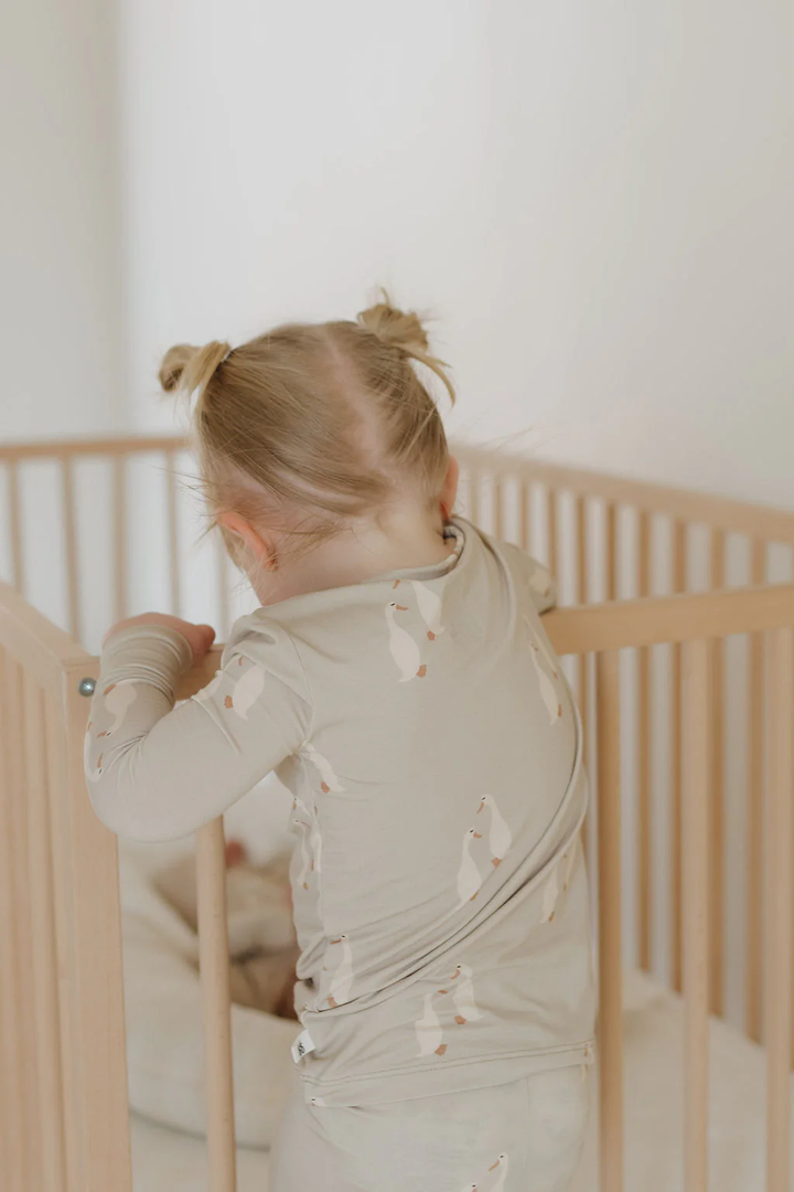BAMBOO TWO PIECE PJS || SILLY GOOSE