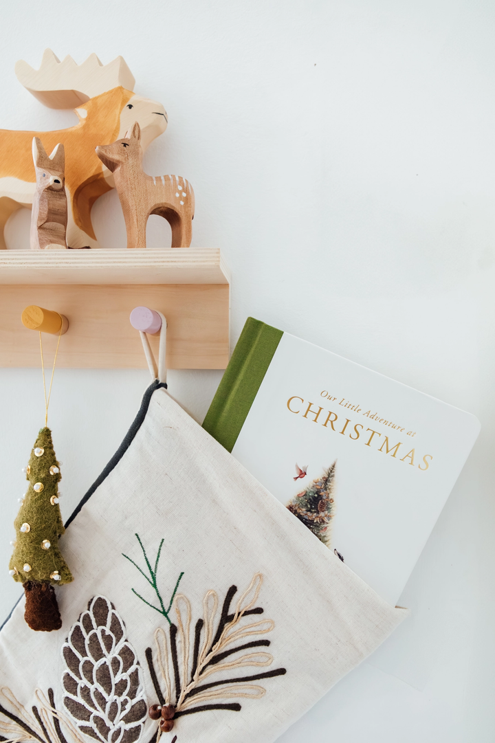 OUR LITTLE ADVENTURE AT CHRISTMAS