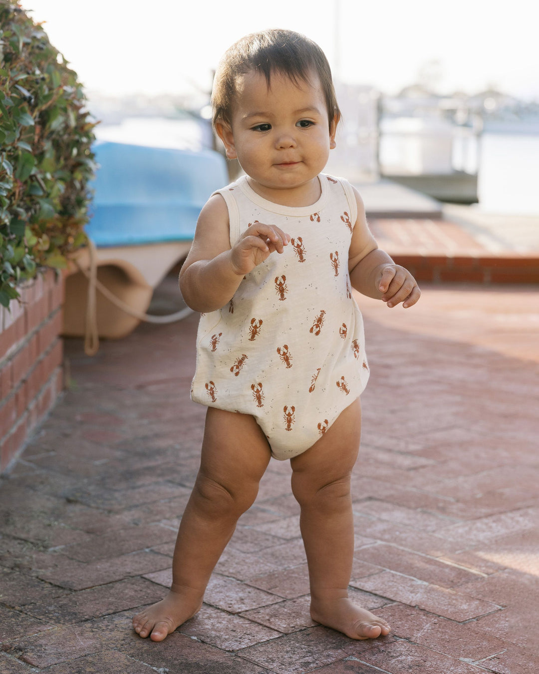 BUBBLE ONESIE || LOBSTERS