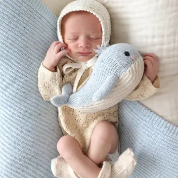 baby whale