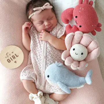 baby crab
