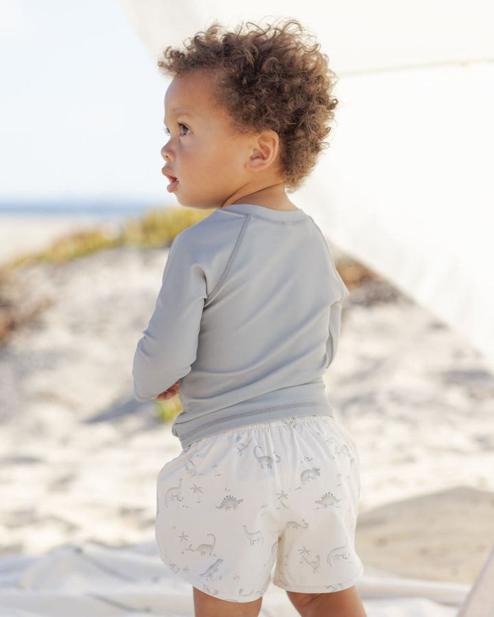 BOYS SWIM SHORT || DINOSAUR