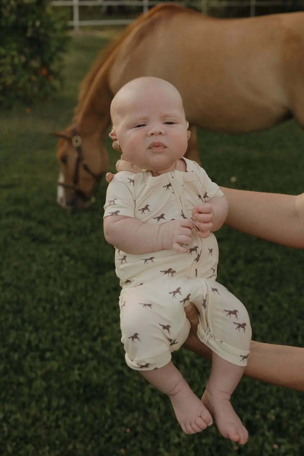 SHORTIE BAMBOO ZIP || WILD HORSES